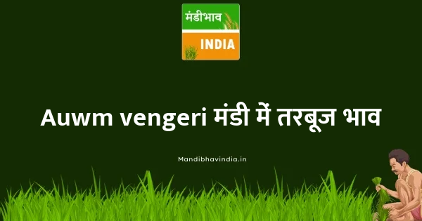 Water Melon भाव